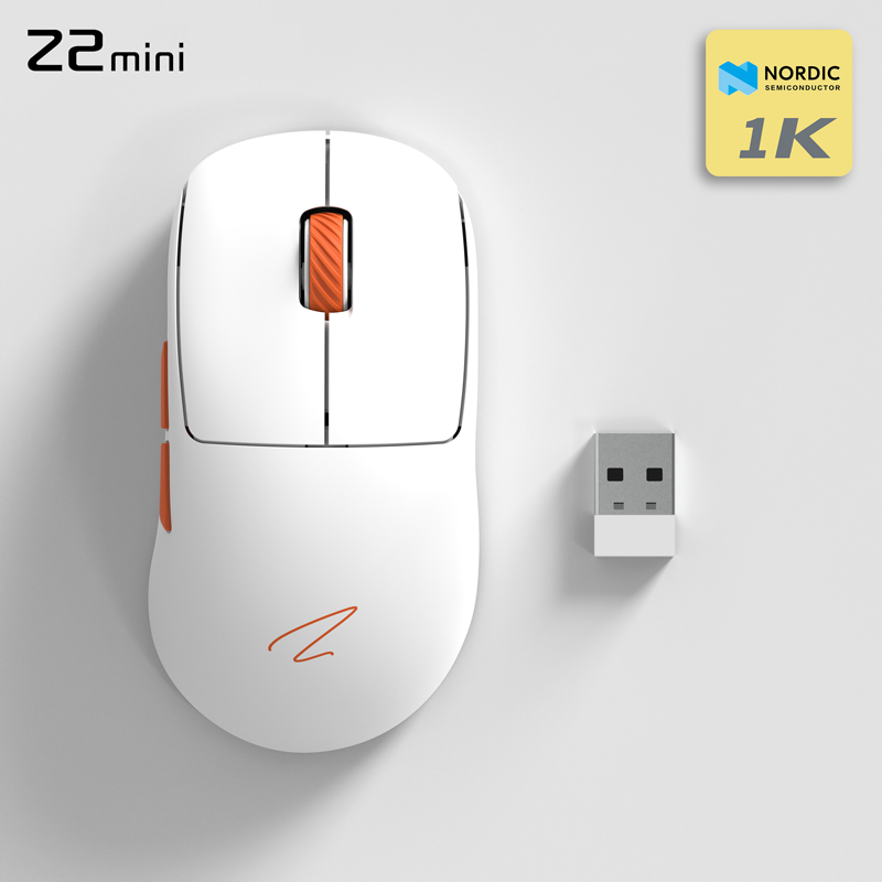 Z2 Mini