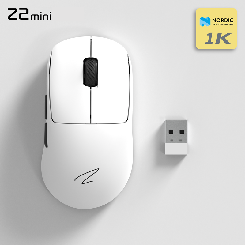 Z2 Mini